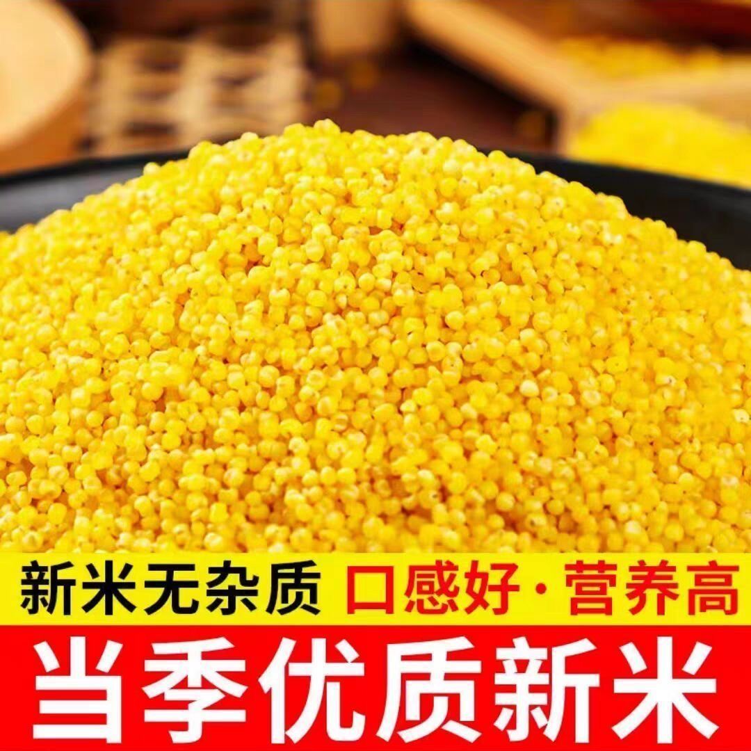 粘糯大黄米粘米大黄粘米黍米当季新大黄米包粽子煮粥蒸黄米饭实惠