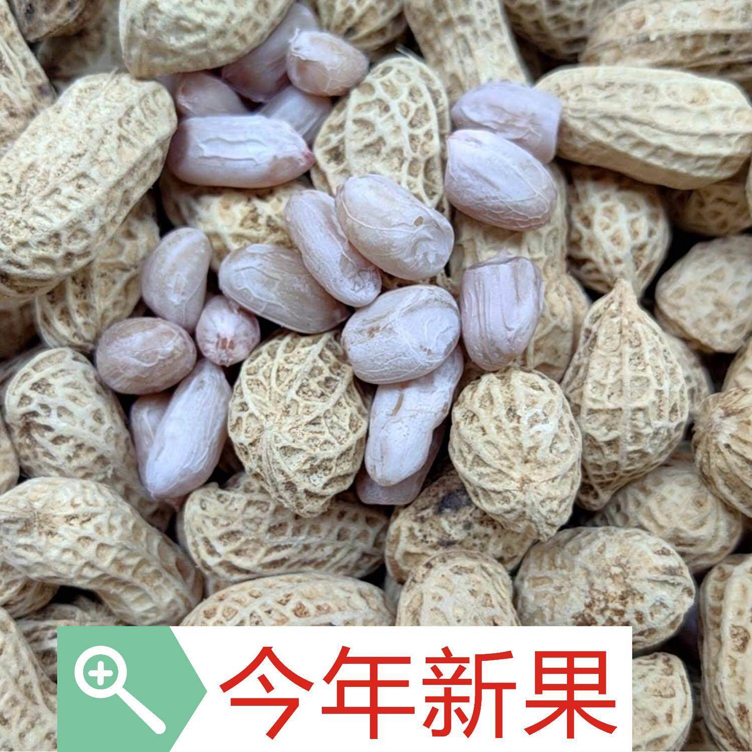 龙岩花生卤味花生白晒五香味带壳即食啤酒下酒小菜新鲜白晒