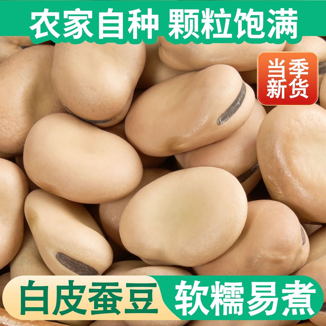特产白蚕豆干货蚕豆干蚕豆胡豆白皮罗汉豆高产种子发芽