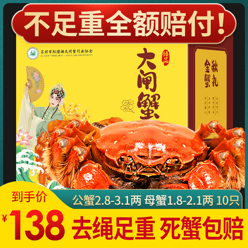 大闸蟹现货全母蟹顺丰速发