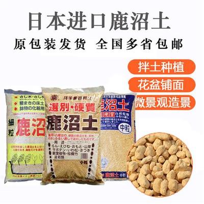 进口鹿沼土包邮 多肉植物兰花专用营养土铺面石 出售赤玉土珍珠岩