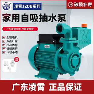 广东凌霄牌水泵1ZDB35 65型自吸清水泵家用自来水抽水机增压泵