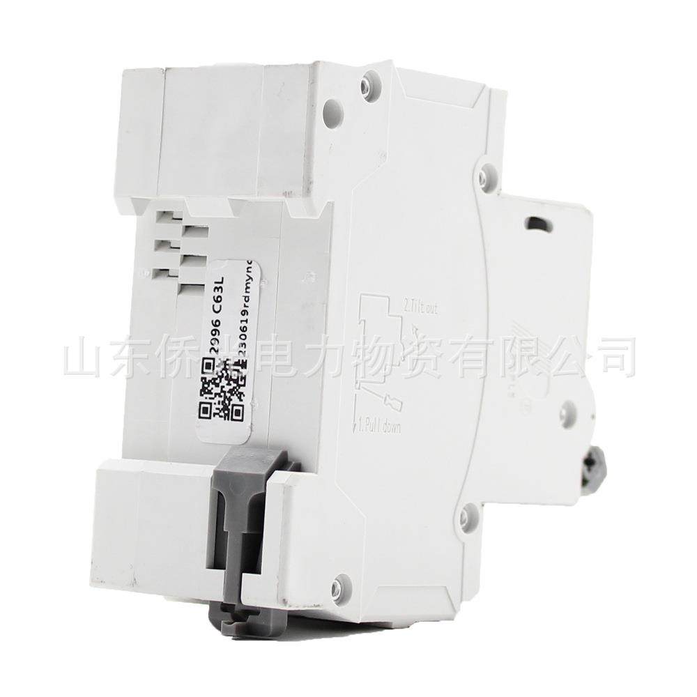 人民电器漏电保护器RDB5LE-63Y2P63A一体式漏电开关NXBLE-63Y