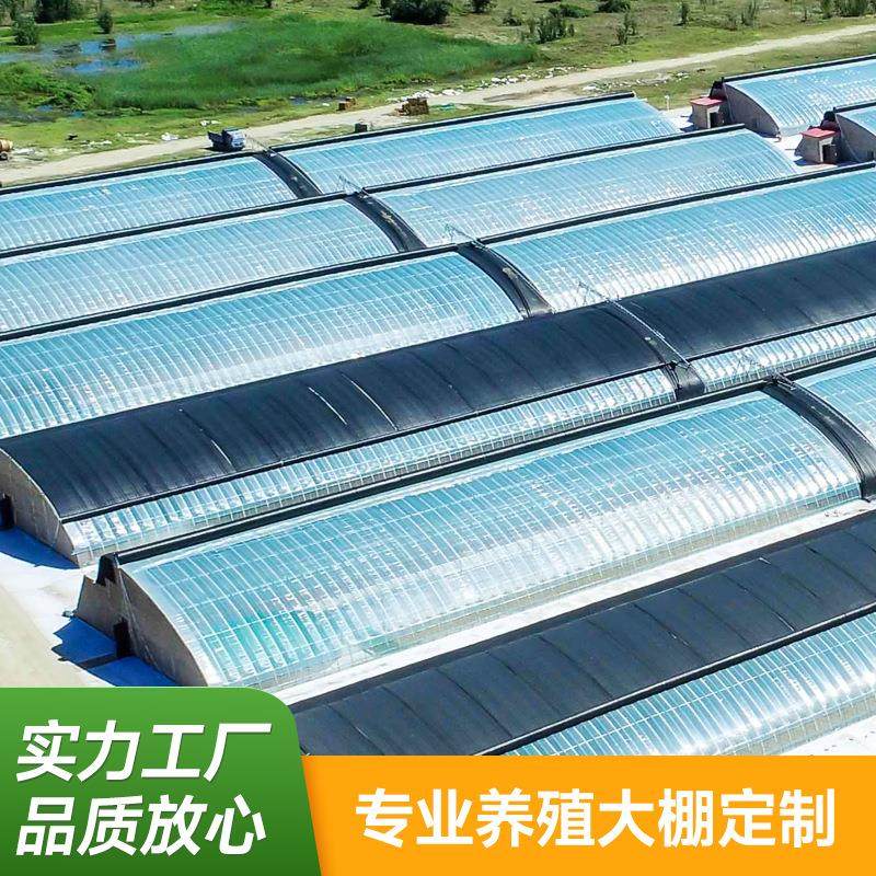 连栋大棚温室畜牧养殖养殖大棚蔬菜鸡鸭牛羊养殖工程包塑温室大棚,农机/农具/农膜,智能温室设备,淘宝优惠券,粉丝福利购,淘宝优惠卷