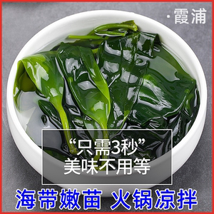 海带嫩苗少盐霞浦海带苗嫩苗火锅凉拌新鲜纯天然健康海带干货商用