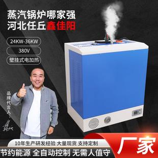 厂家供应加热壁挂式 整烫锅炉 蒸汽发生器24 36KW水泥养护服装