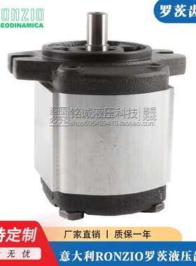 罗茨RONZIO齿轮泵02ZAG06/04/08/11/14/17/20/25/31E034S-0B油泵