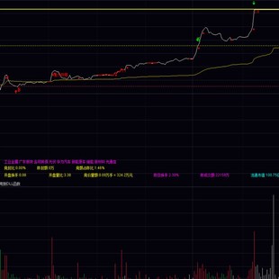 分时主力吸筹做T指标鹰眼精准买卖点通达信指标 付费加密一机一码