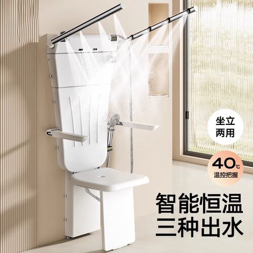 坐式恒温淋浴器多功能挂墙式坐浴器老人洗澡椅折叠淋浴屏花洒扶手