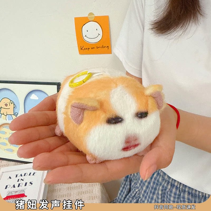 猪妞发声挂件搞怪荷兰猪毛绒公仔可录音说话的月半胖猫表情包玩偶