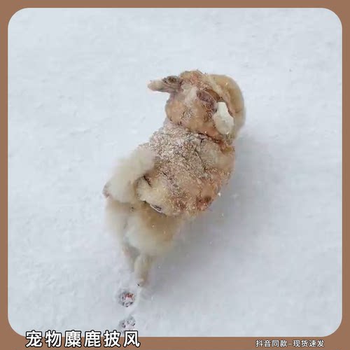 圣诞节麋鹿披风宠物衣服冬装保暖狗狗小型犬外套披风柯基比熊衣服