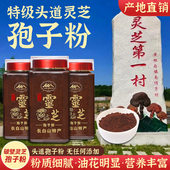 长白山灵芝孢子粉正品 头道椴木林芝袍子粉林下特级野生灵芝粉500g