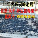 100g原味蓝莓果干 包邮 嘟柿无添加无糖渍 风干大兴安岭野生蓝莓干