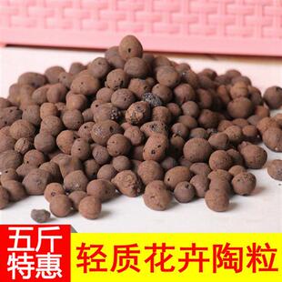 陶土中小颗粒花盆栽铺面垫底透水性1-2CM改良土质石头防溅水陶粒