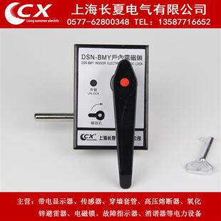 户内高压磁力锁DSN BMY BMZ AMZ 手柄式 关柜 开 DMY