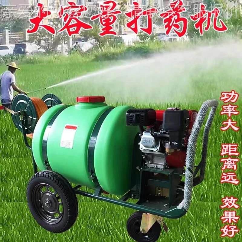果园CT-890手高压汽消毒雾喷器 推式园林打药机 高油空作业喷洒机
