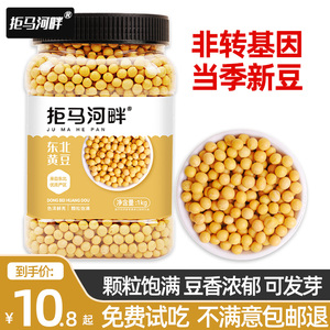黄豆打豆浆专用农家自种东北非转基因新小黄豆批发本地老品种大豆