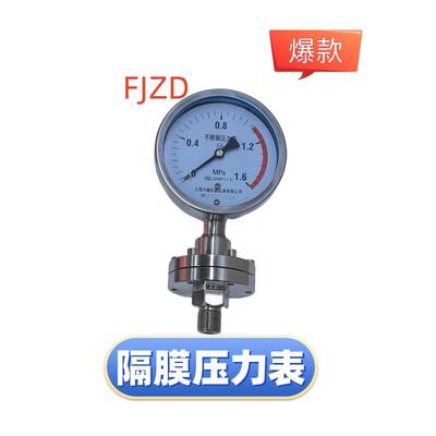 上海仪表不锈钢隔膜压力表耐震压力表法兰连接隔膜式压力表YTP100
