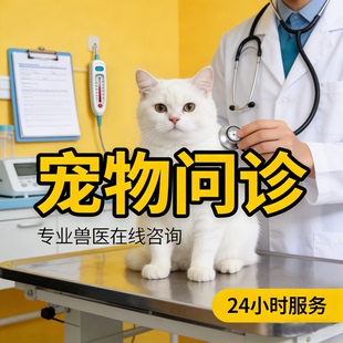 宠物医生在线问诊兽医线上犬猫咪狗狗看病宠物医院24小时在线咨询