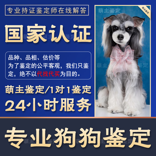 1对1鉴定24H在线鉴定猫狗超准