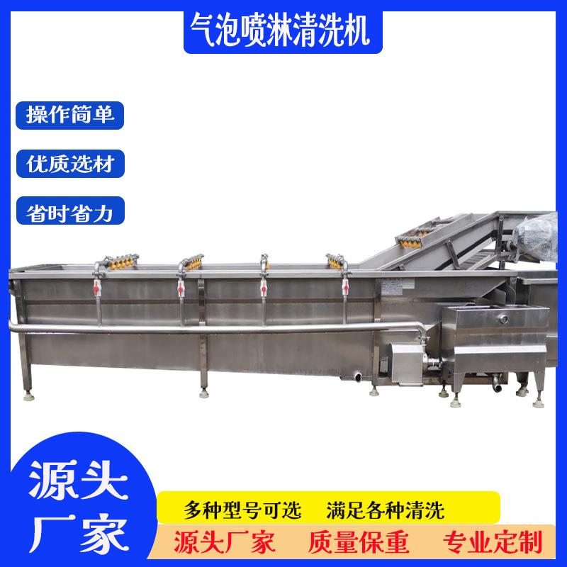 大型肉商用海鲜气泡清洗机PWE荠菜小葱翻品滚洗设备制药材清洗清