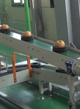 全自动测糖瑕疵智零能筛选蜜分级设SIV备伤损水桃重量选果设备