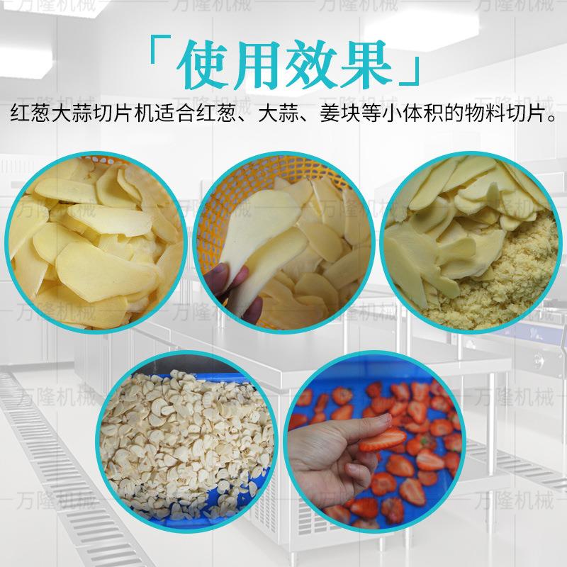 全自动红大机蒜切GZJ片不锈蔬钢葱切菜机加工设备生姜草莓果切割