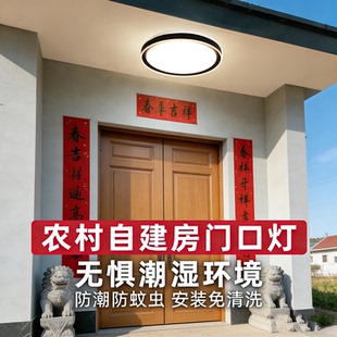别墅大门口吸顶灯农村自建房入户门厅室外房檐阳台走廊新中式灯