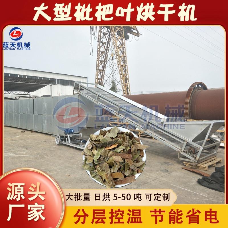 履带式枇杷叶烘干机 全自动大型巴叶芦桔叶干燥机 枇杷果烘干设备