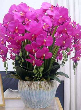 V3N特大号手感PU蝴蝶兰保湿仿真花套装客厅装饰花玄关电视柜假花