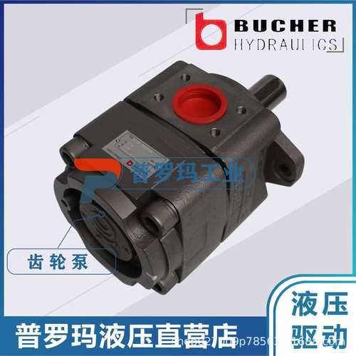 BUCHER内啮合齿轮泵高压齿轮泵QX41-040R09 QX41-050R09 QX41-063