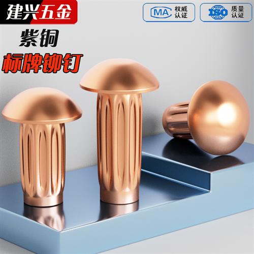 标牌铆钉 紫铜铆钉 GB827滚花铭牌实心半圆头大头铆钉M2M2.5M3M4