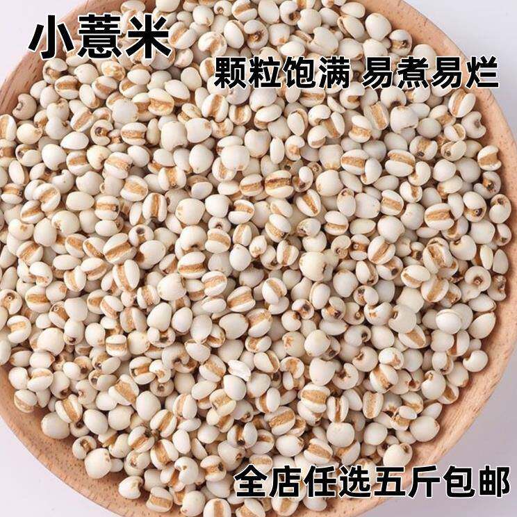 小薏米薏苡仁 农家自种小薏米薏米仁 薏仁米五谷粗粮当年新米500g