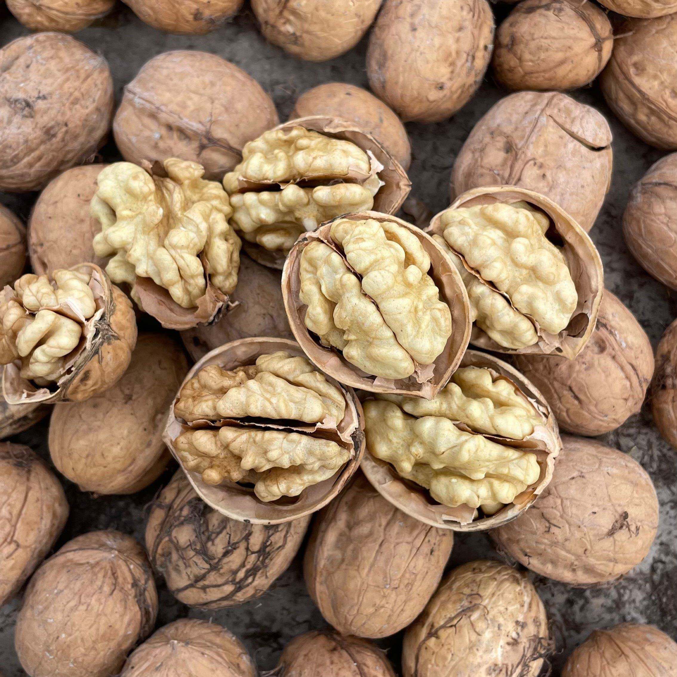 【新货 个头小不均匀】新疆185纸皮生核桃500g原味未漂白坏果包赔