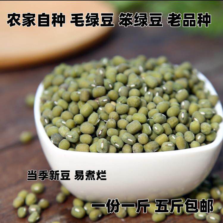 毛绿豆 笨绿豆 新绿豆 农家自种 毛绿豆 杂粮粗粮 散装称重500g