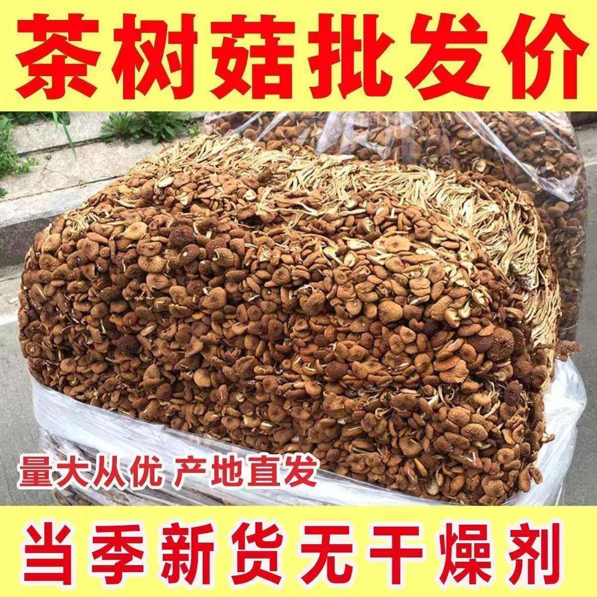 散装净重茶树菇干货新货商用餐饮店香菇菌汤锅底料无干燥剂