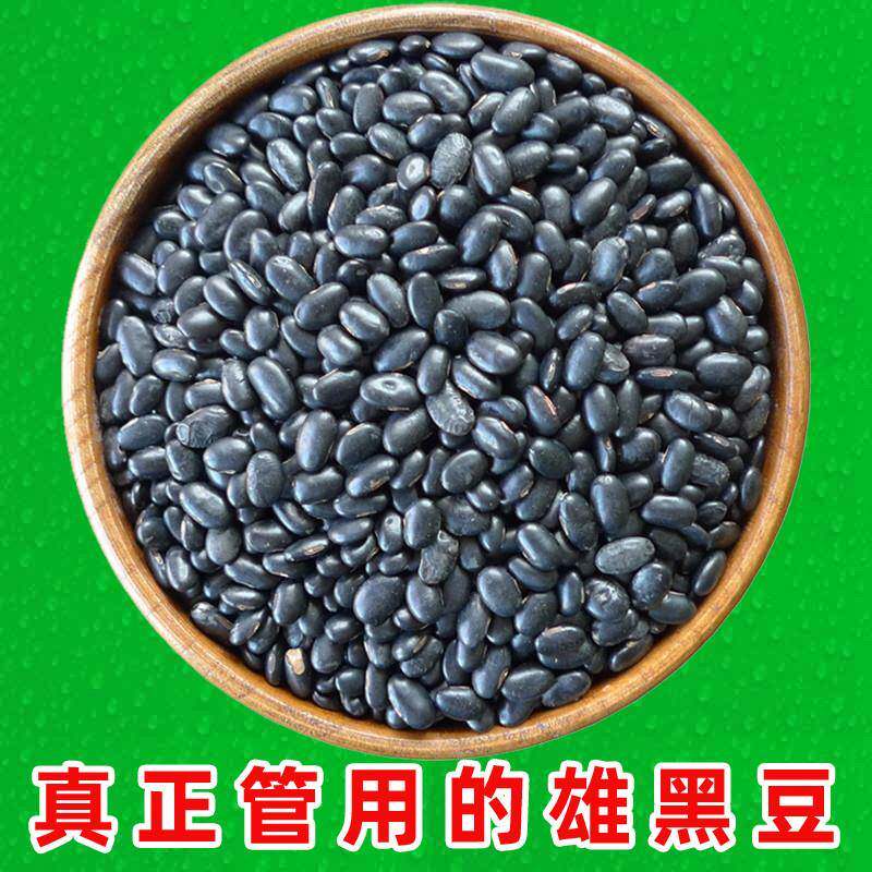 正宗药用黄心生黑豆500g东北肾形黄芯黑小豆农家自产新货非转基因