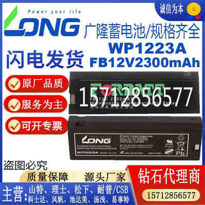 LONG广隆蓄电池WP1223A/FORBATT电池FB1223迈瑞监护仪12V2300mAh