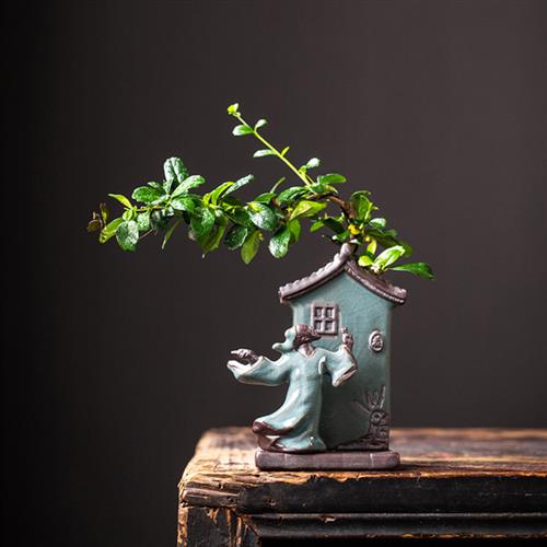 福建茶创意盆栽植物室内净化空气办公室绿植花卉盆栽盆景四季常青