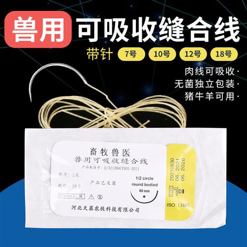 兽用缝合线外科手术免拆可吸收羊肠线宠物用缝合线可吸收性肉线