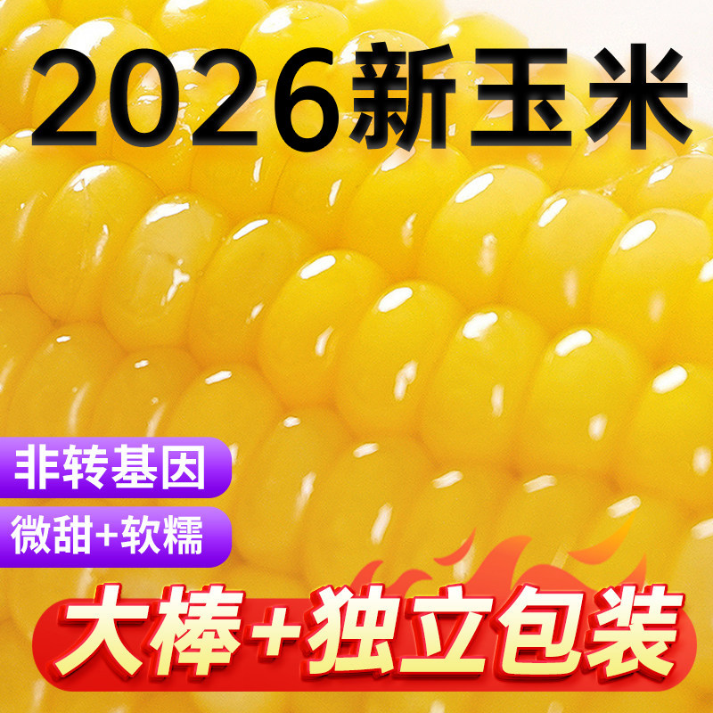 【2026新玉米】玉米新鲜糯玉玉米