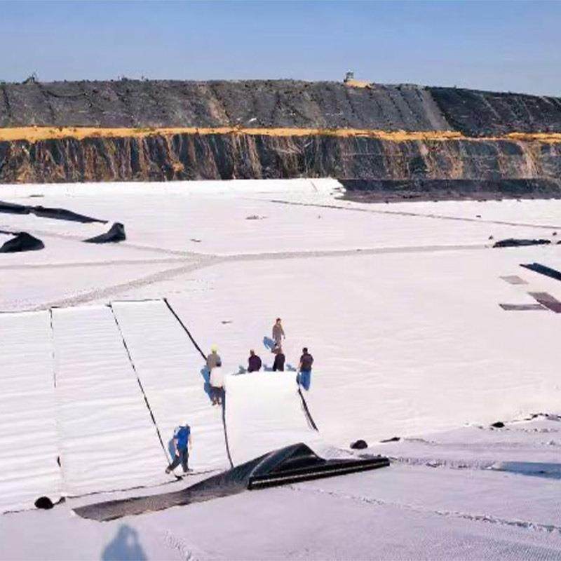 定制复合土合工工膜白色HDPE防渗殖膜人工湖鱼池养SOG蓄水池复土,基础建材,防水卷材,淘宝优惠券,粉丝福利购,淘宝优惠卷