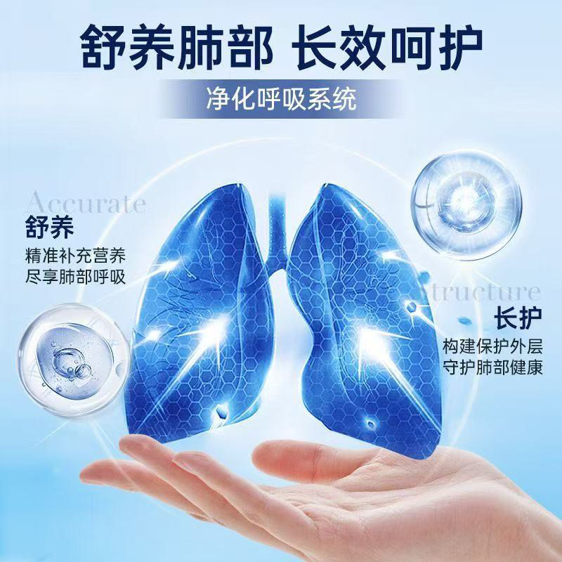 HT-官方正品陈皮槐花薄荷银杏片护肺素养肺槲皮素-x