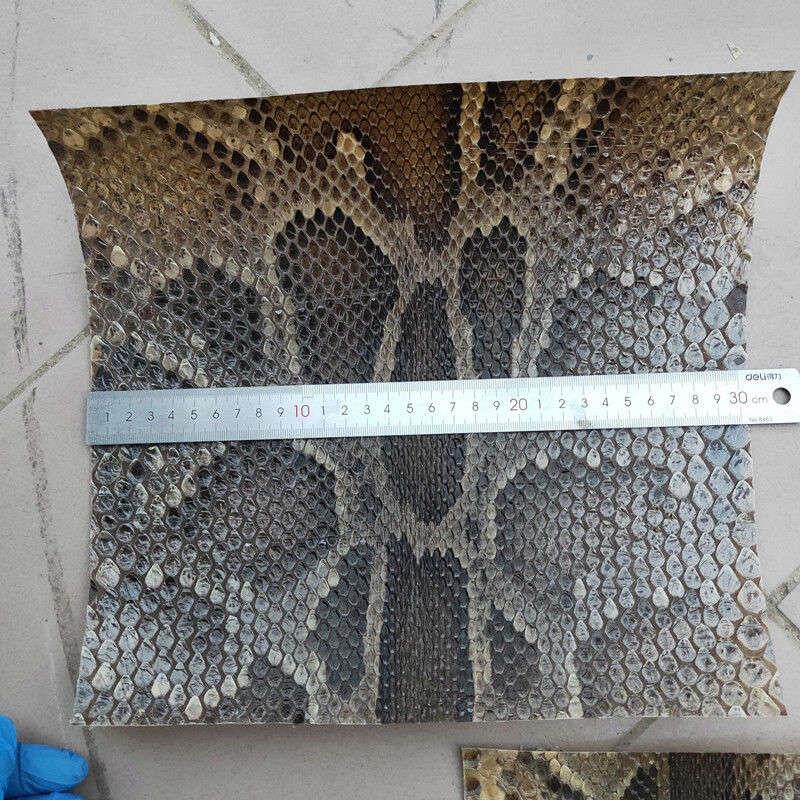 三弦蒙皮 金花蟒皮 单块二胡高胡三弦皮 扎念琴六弦琴蟒皮 鼓皮