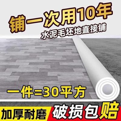 地毯客厅卧室家用地铺垫加厚耐磨防水房间地板铺垫地垫大面积全铺