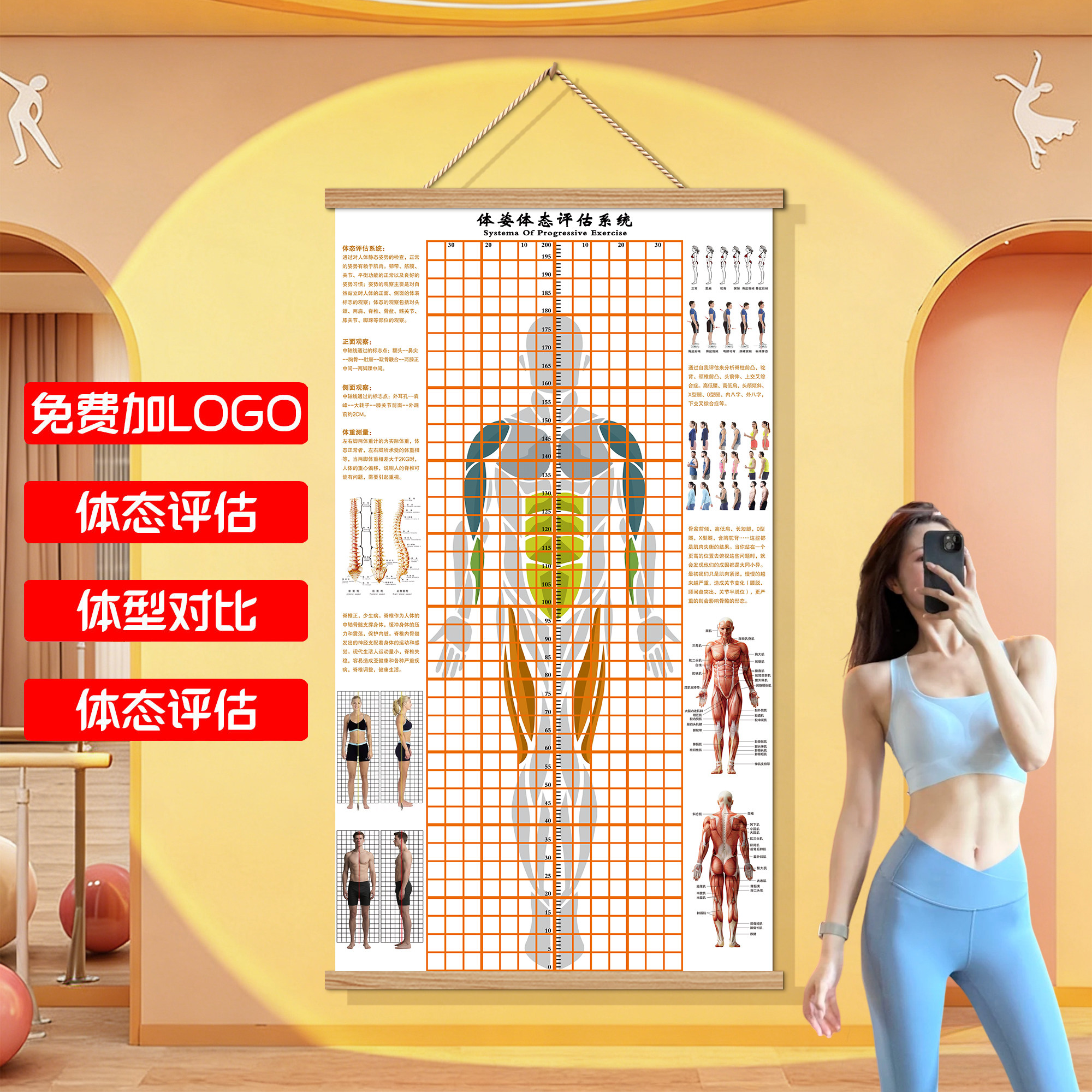 体态评估表墙贴纸体测式健身房瑜伽馆私教身体形姿矫正网格对比图