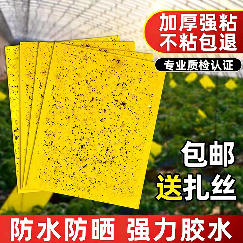 双面黄板粘虫板强力诱捕