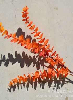 AL-105s网红单支胶片尤加利仿真物金钱叶背景墙n婚庆造景摄植影i