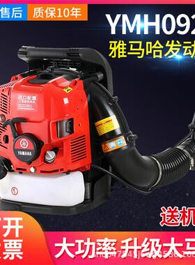 38551合大率马路吹雪机 能小型吹风机 多功率吹风吹尘吹雪机