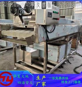 佛手毛辊清洗机 不锈钢南EOH瓜瓜椒平行刷清洗机器 干辣干洗毛机